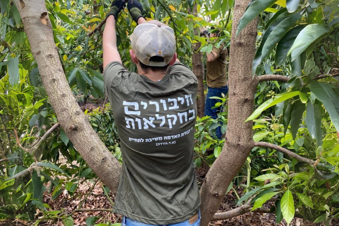 חיבורים בחקלאות (2)