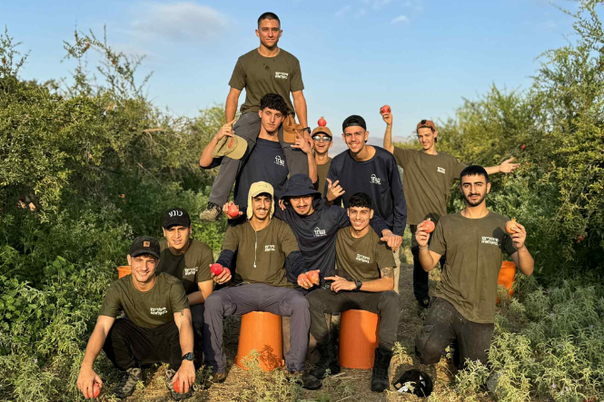 חיבורים בחקלאות (26)
