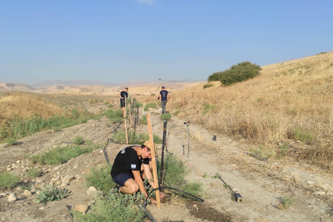 תמונה אתר חקלאות - גודל קבוע (10)