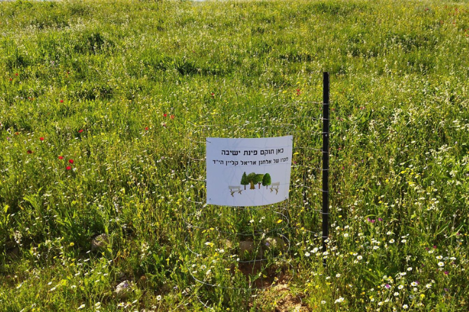 תמונה אתר חקלאות - גודל קבוע (3)